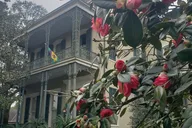 New Orleans Garden District Walking Tour thumbnail 1