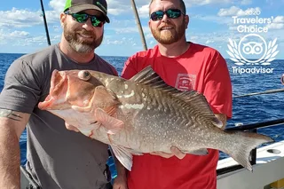 Madeira Beach Fishing Experience from John's Pass