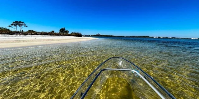 Destin Clear Kayak Eco Tour with Island Stops 2 hr - Image 5