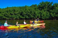 Sarasota Kayak Rental at Turtle Beach thumbnail 2