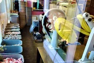 Portland Oregon Coast Tour thumbnail 4