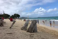 Oahu Waterfall Hike and East Side Beach Day thumbnail 5