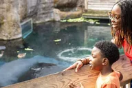 Tampa Zoo Admission Ticket thumbnail 3