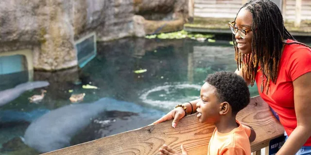 Tampa Zoo Admission Ticket - Image 3