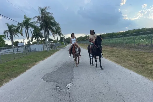 Miami Horseback Experience - Image 2