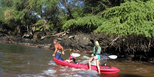 Maui Kayak and Snorkel Tour - Image 2