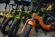Waikiki Electric Bike Tour to Manoa Falls thumbnail 4