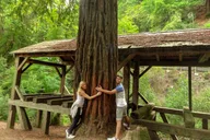 San Francisco Muir Woods Car Tour thumbnail 2