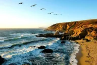 Bodega Head Self-Guided Audio Tour thumbnail 1