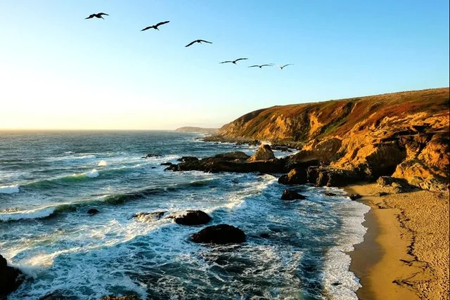 Bodega Head Self-Guided Audio Tour - Image 1