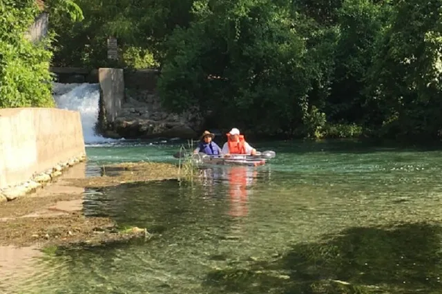 Austin Glass Bottom Kayak Tour with Olympian - Image 5
