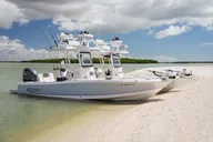 Marco Island Dolphin & Eco Tour 2 hr thumbnail 6