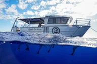 Haleiwa Shark Diving Tour thumbnail 3
