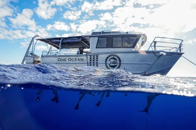 Haleiwa Shark Diving Tour - Image 3