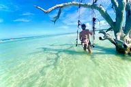 Tampa Boat Tour with Snorkeling 4 hr thumbnail 1