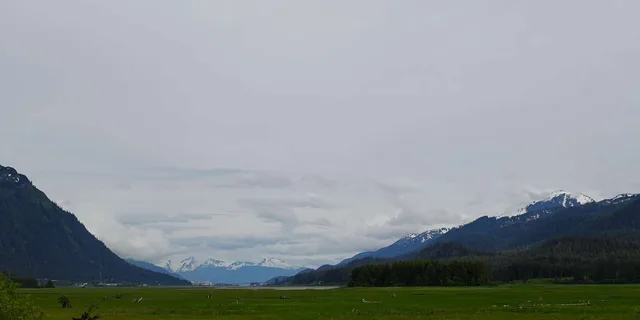 Juneau City Highlights Bus Tour - Image 5