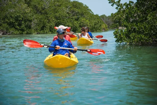 Key West Schooner Eco Tour with Snorkel and Kayak - Image 4