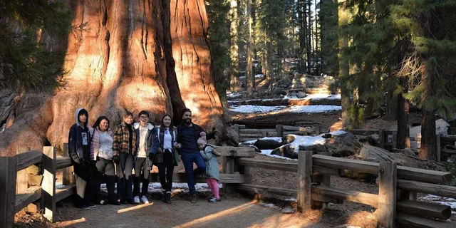 Los Angeles Sequoia and Kings Canyon Private Day Tour - Image 5