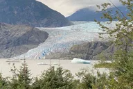 Juneau Mendenhall Glacier and Whale Watching Tour thumbnail 1