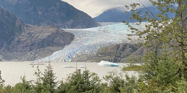 Juneau Mendenhall Glacier and Whale Watching Tour - Image 1