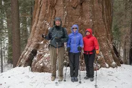 Yosemite Snowshoe Hike thumbnail 4
