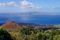 Maui Redwood Hiking Experience thumbnail 6