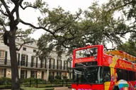 New Orleans Hop-On Hop-Off Bus Tour thumbnail 5