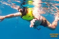 Waikiki Green Sea Turtle Snorkeling Tour thumbnail 6