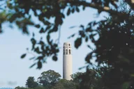 San Francisco Coit Tower and Little Italy Walking Tour thumbnail 6
