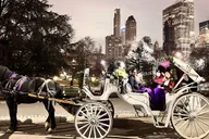 New York Central Park Horse and Carriage Ride thumbnail 5