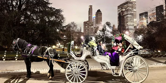 New York Central Park Horse and Carriage Ride - Image 5