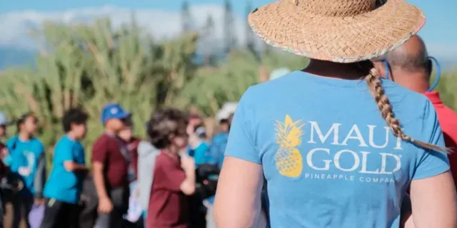 Maui Pineapple Planting Experience 2 hr - Image 4