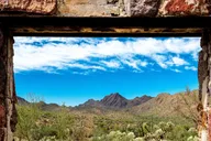 Tucson Sonoran Desert Tour with Museum Ticket thumbnail 1