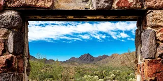 Tucson Sonoran Desert Tour with Museum Ticket