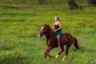 Austin Horsemanship Trail Ride 3.5 hr thumbnail 4