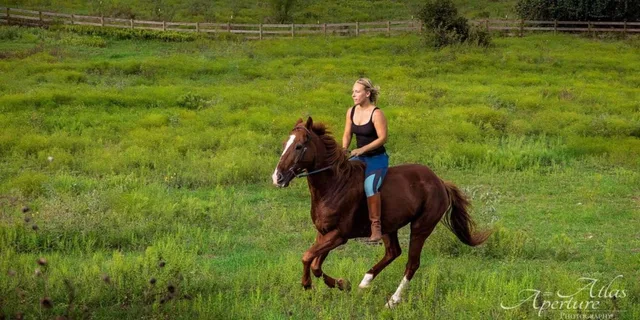 Austin Horsemanship Trail Ride 3.5 hr - Image 4