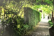 New Orleans Garden District Walking Tour thumbnail 2