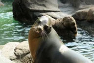 Bronx Zoo Admission Ticket thumbnail 6