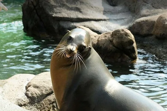 Bronx Zoo Admission Ticket - Image 6