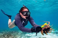 Key West Lobster Snorkeling Adventure 6 hr thumbnail 3
