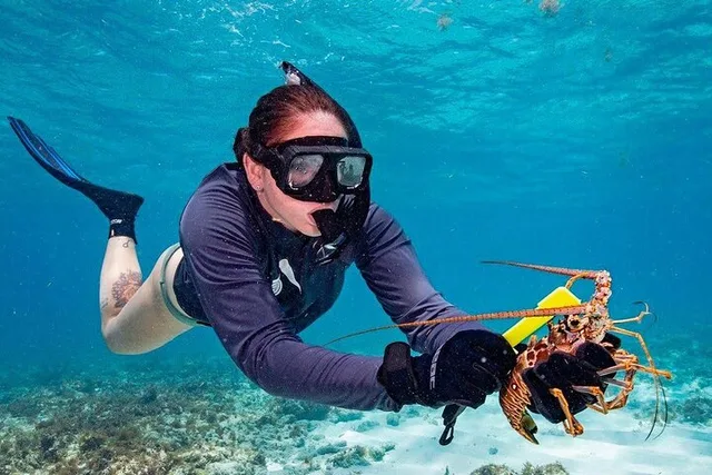 Key West Lobster Snorkeling Adventure 6 hr - Image 3