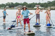 Charleston Stand Up Paddleboard Dolphin Safari thumbnail 5