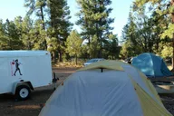 Las Vegas to San Francisco: Death Valley & Yosemite 4-Day Tour thumbnail 2
