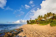 Honolulu Private Oahu Tour thumbnail 6
