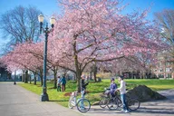Portland Bike and E-Bike Tour thumbnail 1