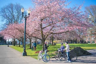 Portland Bike and E-Bike Tour