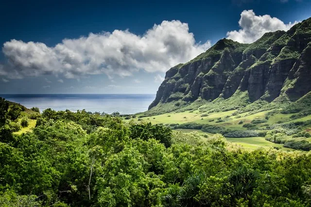 Oahu Circle Island Tour with Waimea Waterfall - Image 1