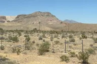 Las Vegas Wine Tasting Tour to Pahrump thumbnail 2