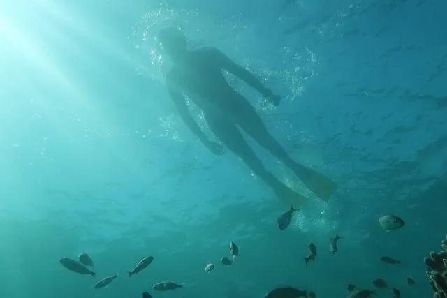 Lauderdale-by-the-Sea Snorkeling Adventure 2.5 hr - Image 3