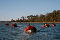 Hilton Head Mini Boat Tour to Disappearing Island thumbnail 2